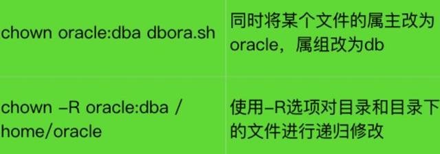 Linux：聊聊linux工作中一些高频使用的命令