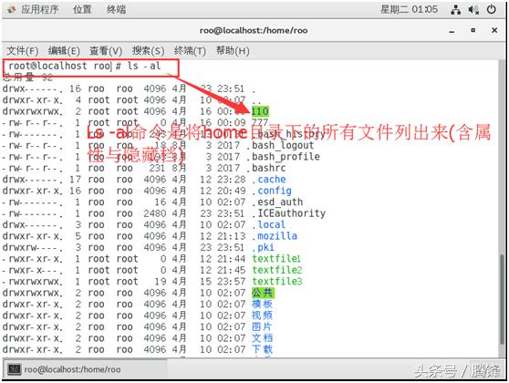 Linux 文件与目录管理常用命令